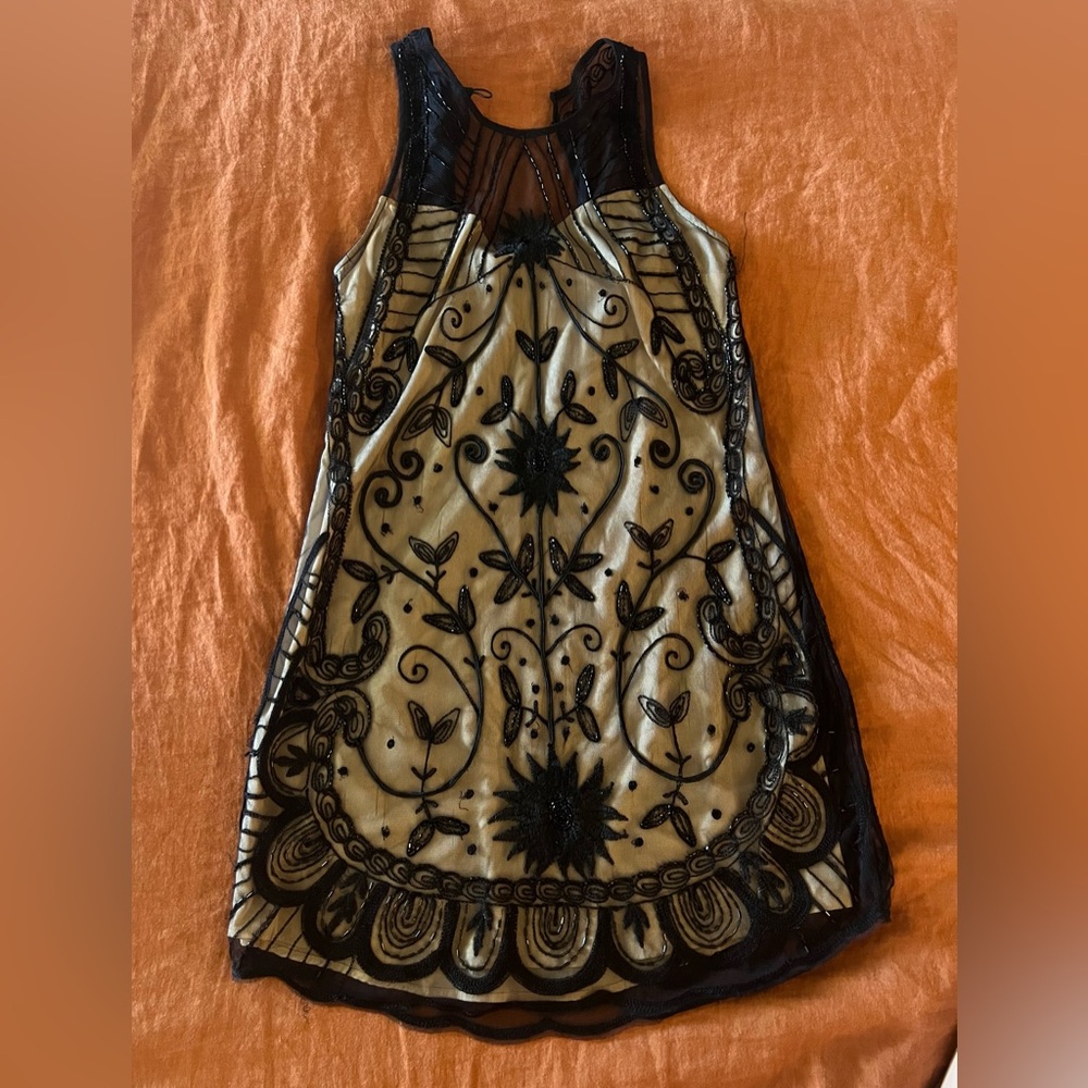 Abercrombie & Fitch Black and Cream Sheer Dress